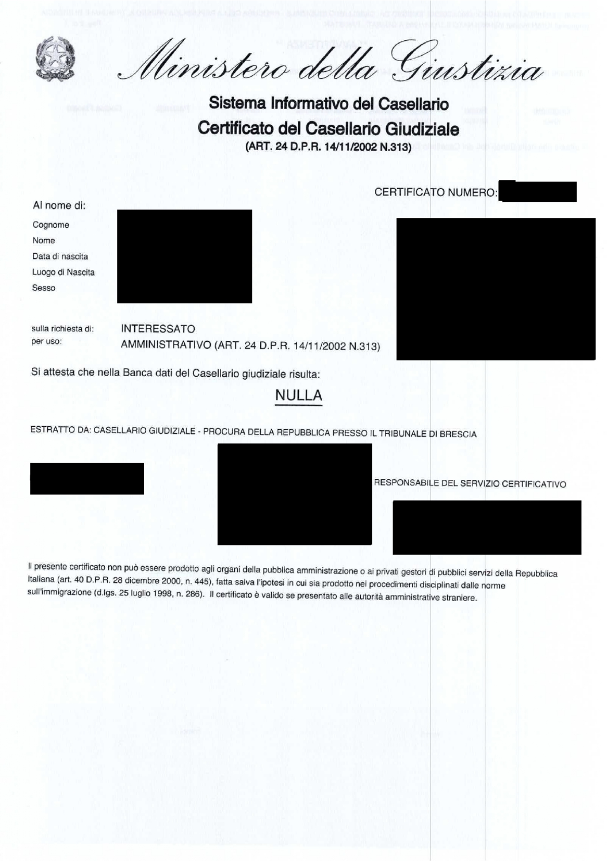Certified Translation of Italian Criminal Record from Italian to English